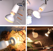 Carregar imagem no visualizador da galeria, portabombillas portalamparas casquillos terrario de pvc (6748938436807)
