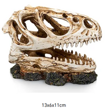 Carregar imagem no visualizador da galeria, Crânio de dinossauro T-Rex
