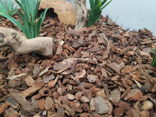 Carregar imagem no visualizador da galeria, Substrato Floresta Tropical BARK - Exo Terra
