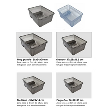 Carregar imagem no visualizador da galeria, Tartarugueira para Tartarugas Aquáticas com Zona Seca – Habitat Completo, Ventilado e Fácil de Limpar
