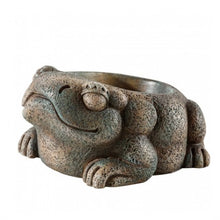 Carregar imagem no visualizador da galeria, Bebedero FROG AZTECA Exo-Terra (6748941484231)
