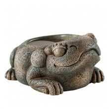 Carregar imagem no visualizador da galeria, Bebedero FROG AZTECA Exo-Terra (6748941484231)
