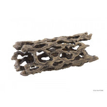 Carregar imagem no visualizador da galeria, Esqueleto de CACTUS CHOLLA Exo-Terra (6748941287623)
