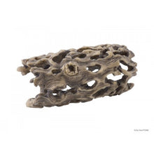 Carregar imagem no visualizador da galeria, Esqueleto de CACTUS CHOLLA Exo-Terra (6748941287623)
