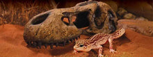 Carregar imagem no visualizador da galeria, Abrigo Exo-Terra T-REX
