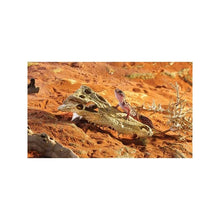 Carregar imagem no visualizador da galeria, Refugio Cocodrilo  Exo-Terra (7079450443975)

